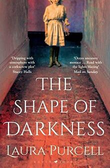 The Shape of Darkness: 'Darkly addictive, utterly compelling' Ruth Hogan