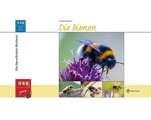 Die Bienen - Teresa Zabori Gebunden