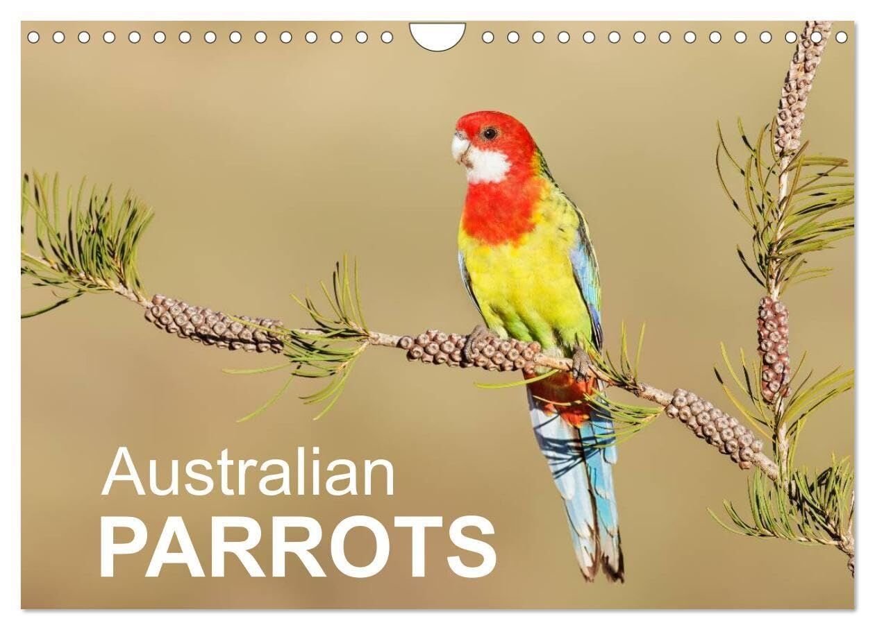 Australian Parrots (Wall Calendar 2027 DIN A4 landscape), CALVENDO 12 Month Wall Calendar