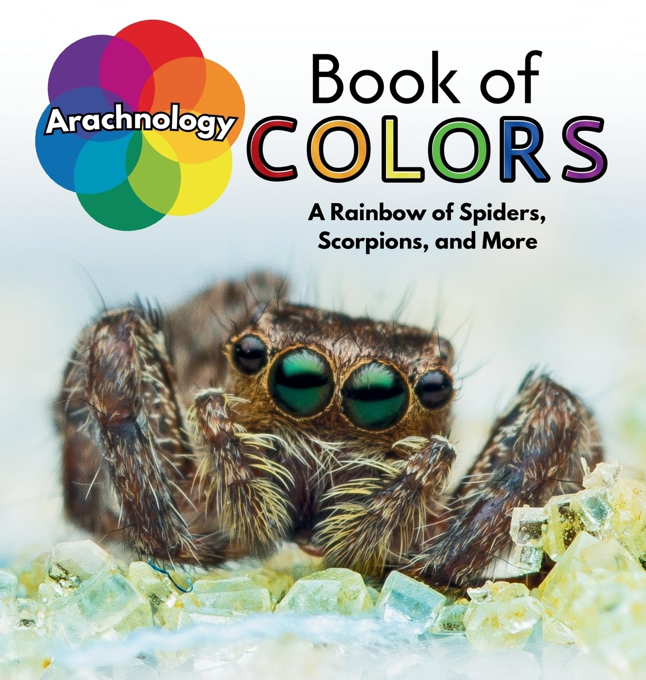 Arachnology Book of Colors: A Rainbow of Spiders, Scorpions, and More