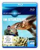Discovery HD: Jeff Corwin - Im Sturzflug [Blu-ray]