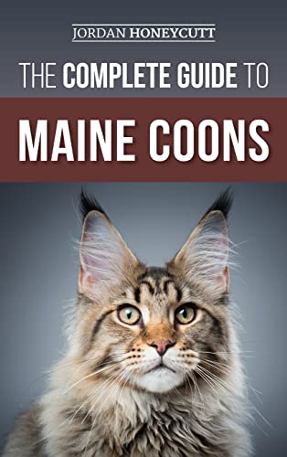 Jordan Honeycutt The Complete Guide To Maine Coons, Finding, Preparing For, Feeding, Training, Socializing, Grooming, And Loving Your New Maine Coon Cat