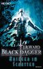 Krieger im Schatten: Black Dagger 27 - Roman