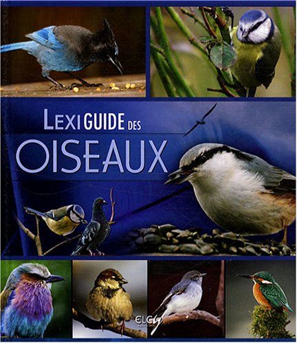 Lexiguide Des Oiseaux