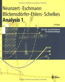 Analysis 1: Ein Lehr- und Arbeitsbuch für Studienanfänger (Springer-Lehrbuch)