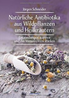 Natürliche Antibiotika aus Wildpflanzen und Heilkräutern: Entzündungen stoppen und das Immunsytsem stärken