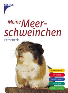 Meine Meerschweinchen