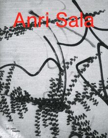 Anri Sala : exposition, Paris, Centre Pompidou, Galerie Sud, du 3 mai au 6 août 2012