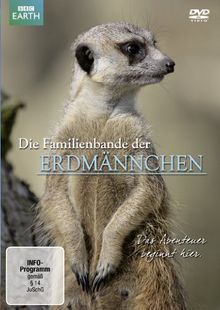 Die Familienbande der Erdmännchen