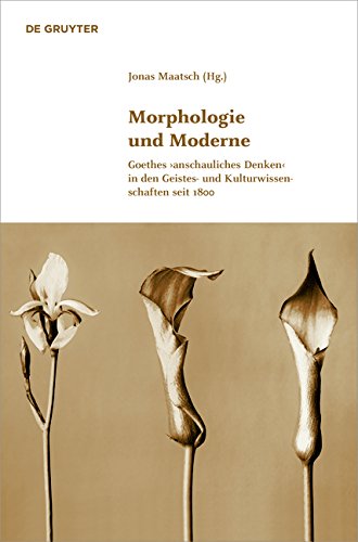 Morphologie und Moderne: Goethes ›anschauliches Denken‹ in den Geistes- und Kulturwissenschaften seit 1800 (Klassik und Moderne, Band 5)