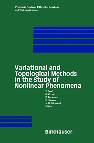 Variational and Topological Methods in the Study of Nonlinear Phenomena (Progress in Nonlinear Differential Equations and Their Applications)