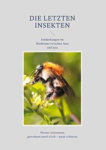 Die letzten Insekten: Entdeckungen im Niederamt zwischen Aare und Jura