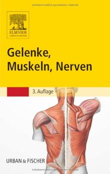 Gelenke, Muskeln, Nerven