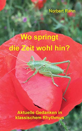 Wo springt die Zeit wohl hin?: Aktuelle Gedanken in klassischem Rhythmus