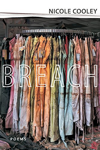Breach: Poems (Conflicting Worlds: New Dimensions of the American Civil War)