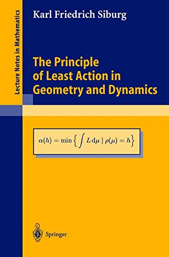 The Principle of Least Action in Geometry and Dynamics (Lecture Notes in Mathematics, Band 1844)
