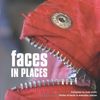 Faces in Places: A Photographic Collection of Faces Found in Everyday Places