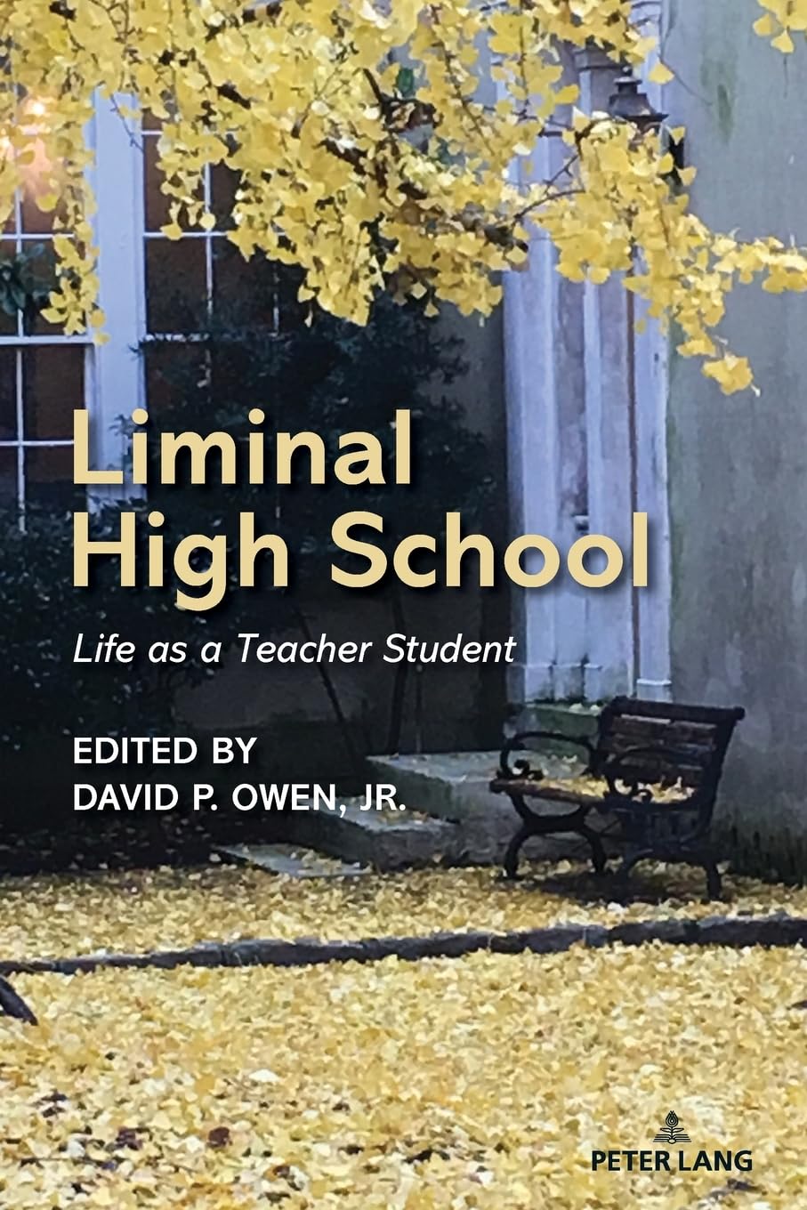 Liminal High School: Life as a Teacher Student (Counterpoints, Band 561)