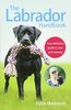 The Labrador Handbook: The definitive guide to training and caring for your Labrador