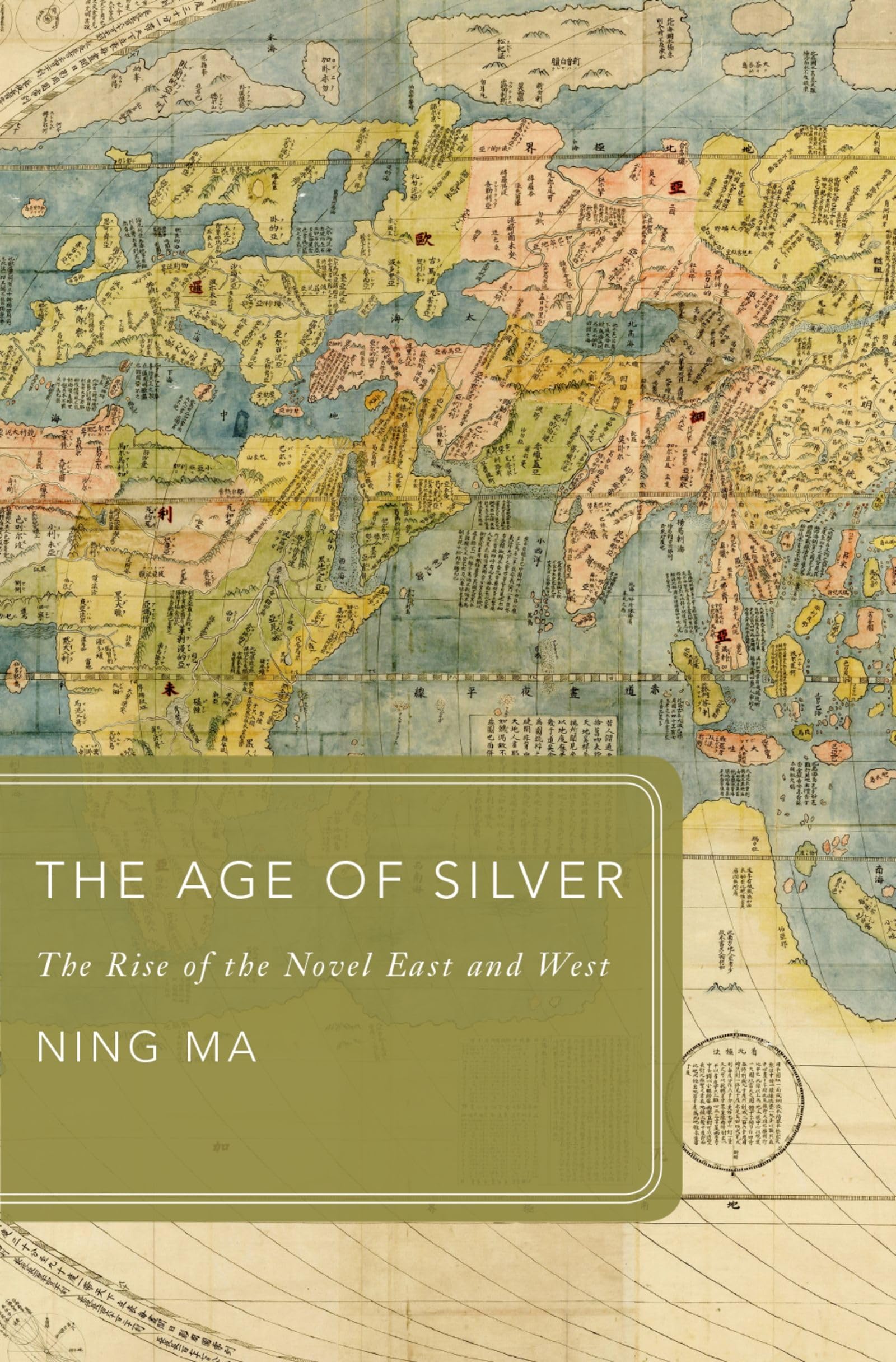 Age of Silver: The Rise of the Novel East and West (Global Asias)