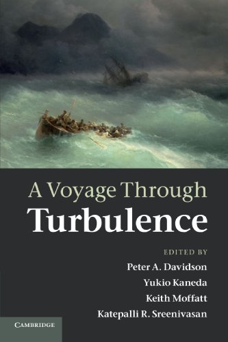 Davidson, Peter A. A Voyage Through Turbulence