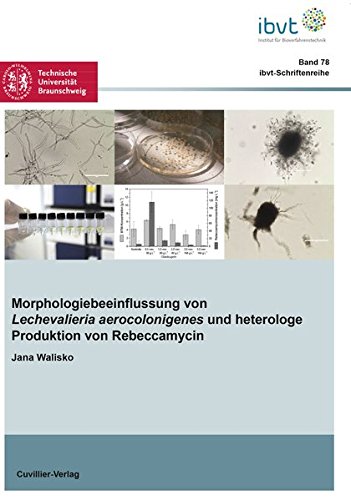 Morphologiebeeinflussung von Lechevalieria aerocolonigenes und heterologe Produktion von Rebeccamycin (Schriftenreihe des Institutes für Bioverfahrenstechnik der Technischen Universität Braunschweig)