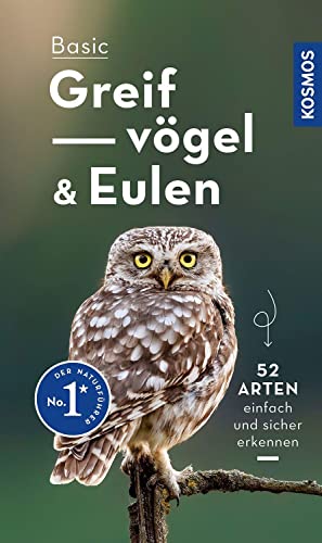 Basic Greifvögel und Eulen - Volker Dierschke Kartoniert (TB)