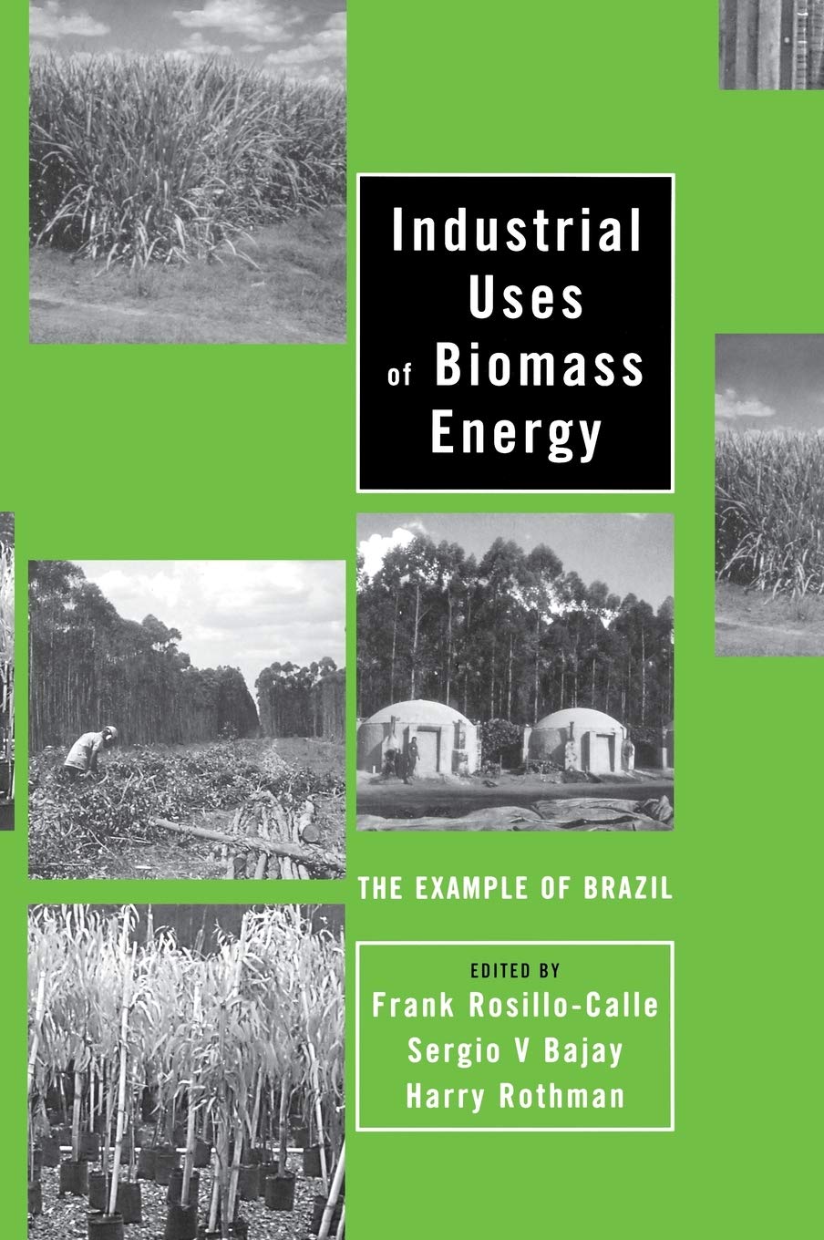 Industrial Uses of Biomass Energy: The Example of Brazil