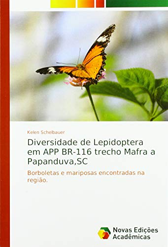 Diversidade de Lepidoptera em APP BR-116 trecho Mafra a Papanduva,SC: Borboletas e mariposas encontradas na regi¿