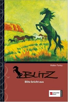 Blitz, Band 05: Blitz bricht aus