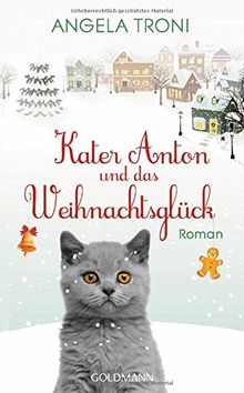 Kater Anton und das Weihnachtsglück: Roman