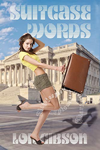 Suitcase Words: FOR THE POLITICALLY CONSERVATIVE POLITICAL DOUBLE WORDS