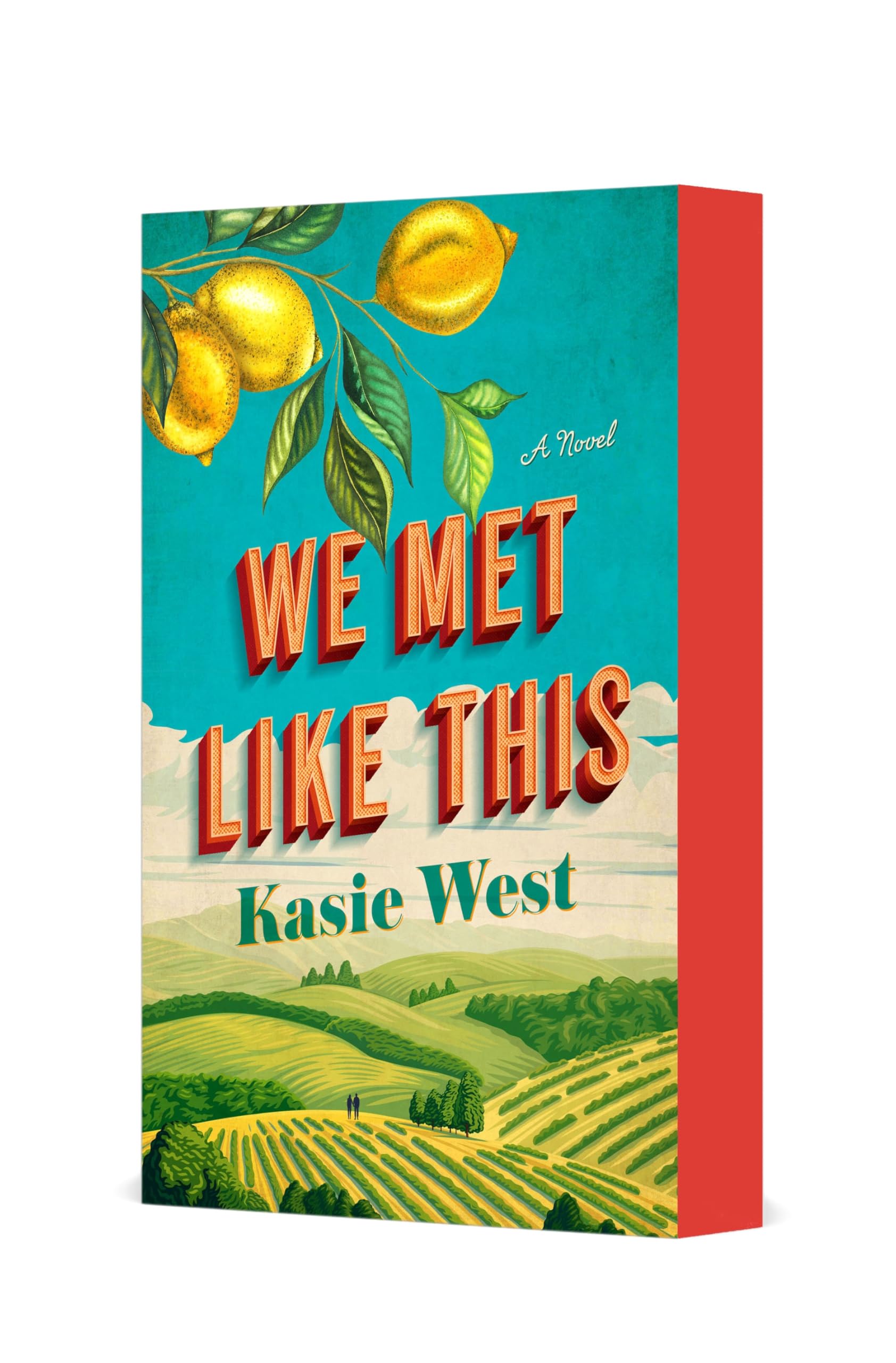 Kasie West We Met Like This, A Novel