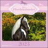 Mein Pferdekalender 2023 - Broschürenkalender 30x30 cm (30x60 geöffnet) - Kalender mit Platz für Notizen - Bildkalender - Wandplaner - Wandkalender