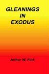 Gleanings in Exodus