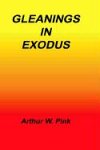 Gleanings in Exodus