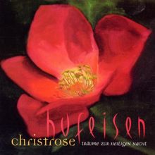 Christrose