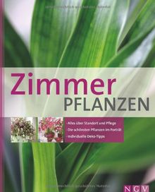 Zimmerpflanzen: Alles über Standort und Pflege - Die schönsten Pflanzen im Porträt - Individuelle Deko-Tipps