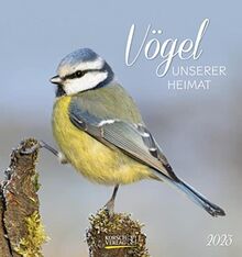 Vögel unserer Heimat 2023: Aufstellbarer Postkartenkalender mit Bildern von Vögeln in der Natur der Heimat. Tisch- und Wandkalender.