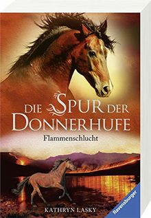 Die Spur der Donnerhufe, Band 1: Flammenschlucht