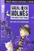 Sherlock Holmes & die Baker Street Bande. Das Haus der Wahrsager