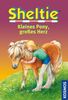 Sheltie,Kleines Pony, großes Herz: Dreifachband