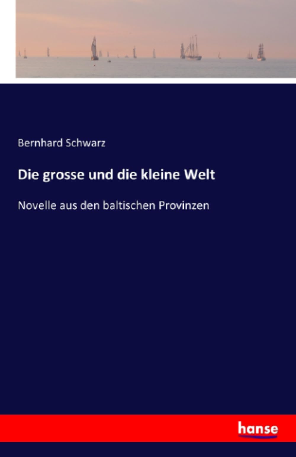 Die grosse und die kleine Welt: Novelle aus den baltischen Provinzen