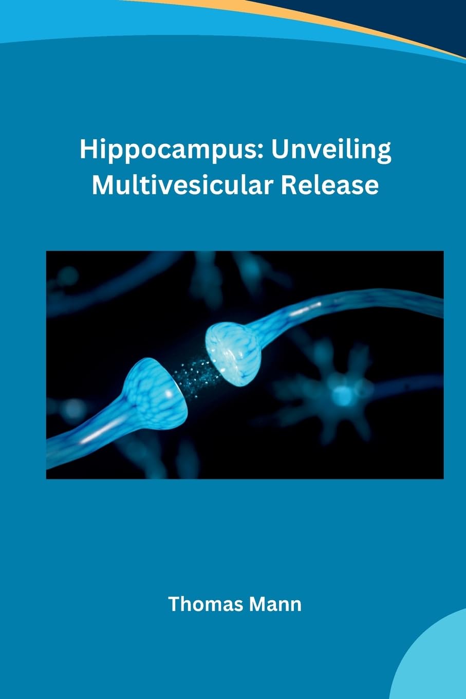 Hippocampus: Unveiling Multivesicular Release: DE