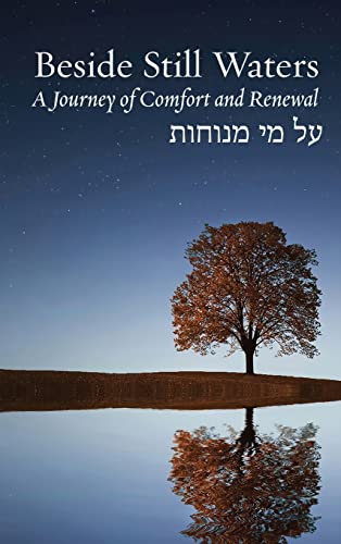 Beside Still Waters: A Journey of Comfort and Renewal (Bayit: Building Jewish)