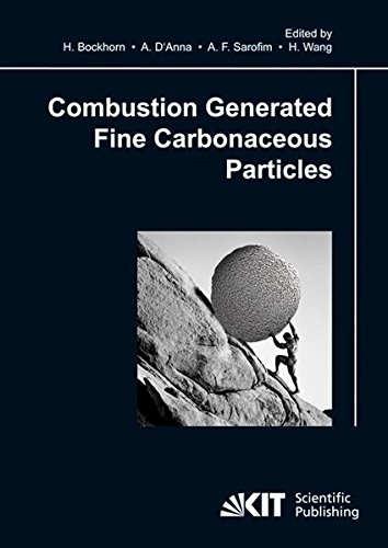 Combustion generated fine carbonaceous particles : proceedings of an international workshop held in Villa Orlandi, Anacapri, May 13-16, 2007