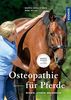 Osteopathie für Pferde: Wissen, Spüren, Behandeln