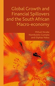 Global Growth and Financial Spillovers and the South African Macro-economy