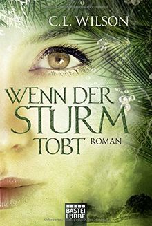 Wenn der Sturm tobt: Roman (Mystral, Band 4)