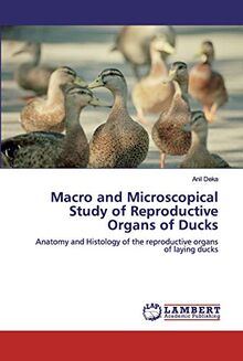 Duck Study Macro and Microscopical Study of Reproductive Organs of Ducks: Anatomy ...